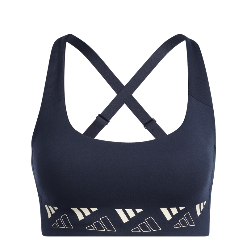 PWI MS LOGO TOP AZUL
